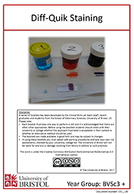 Clinical skills instruction booklet cover page, Diff-Quik Staining
